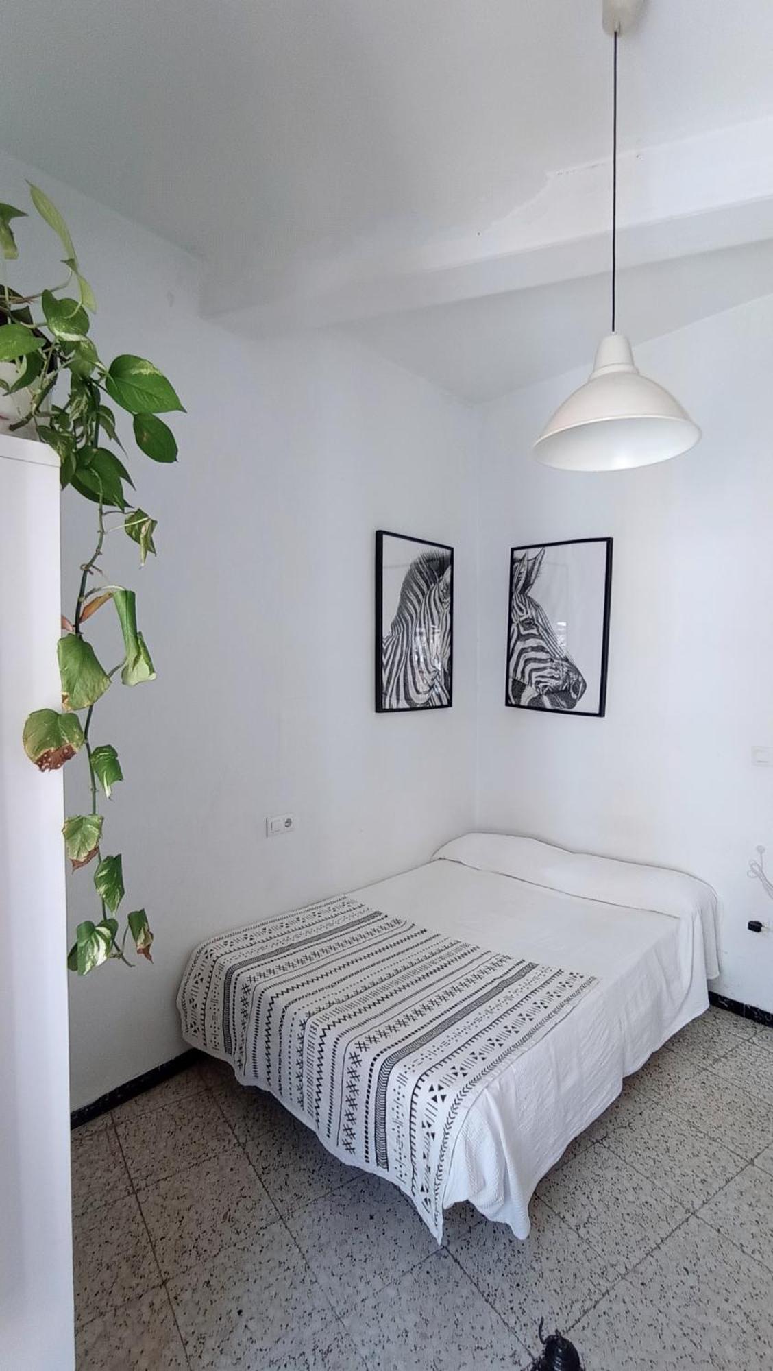 Preciosa Habitacion En Pleno Centro De Sevilla Ideal Para Hacer Turismo Y Vivir La Ciudad Buitenkant foto